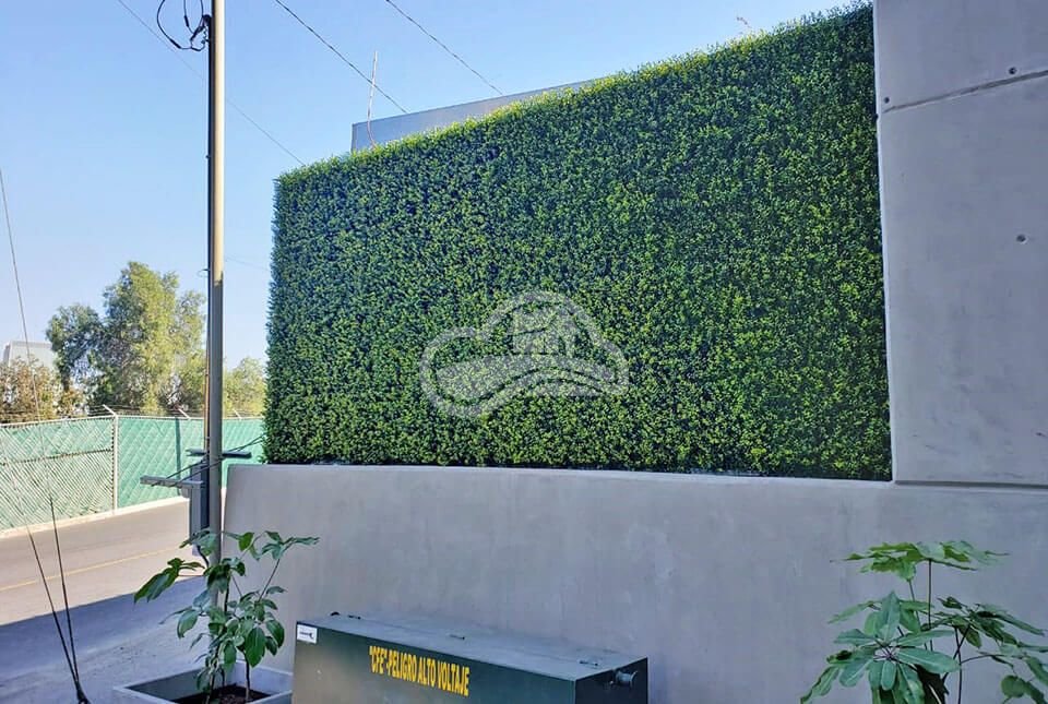 Muro Verde - Dream Gardens