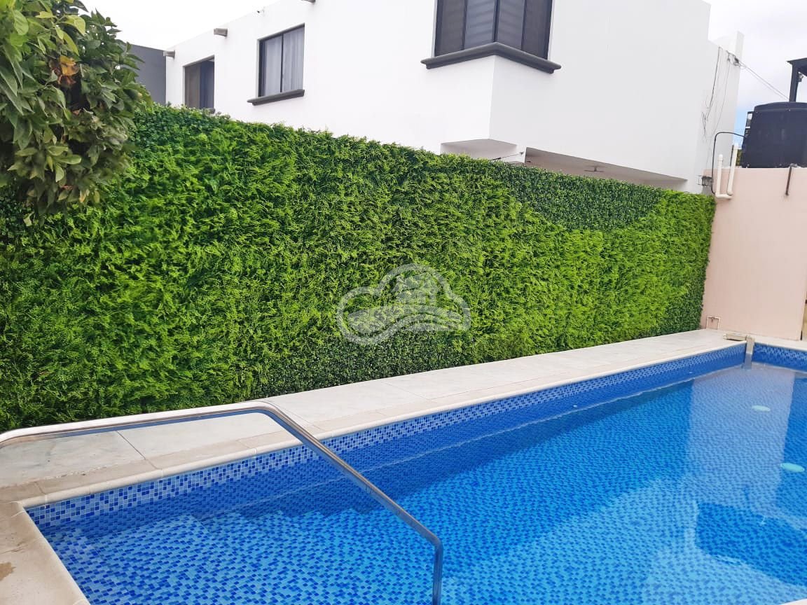 Muro Verde - Dream Gardens