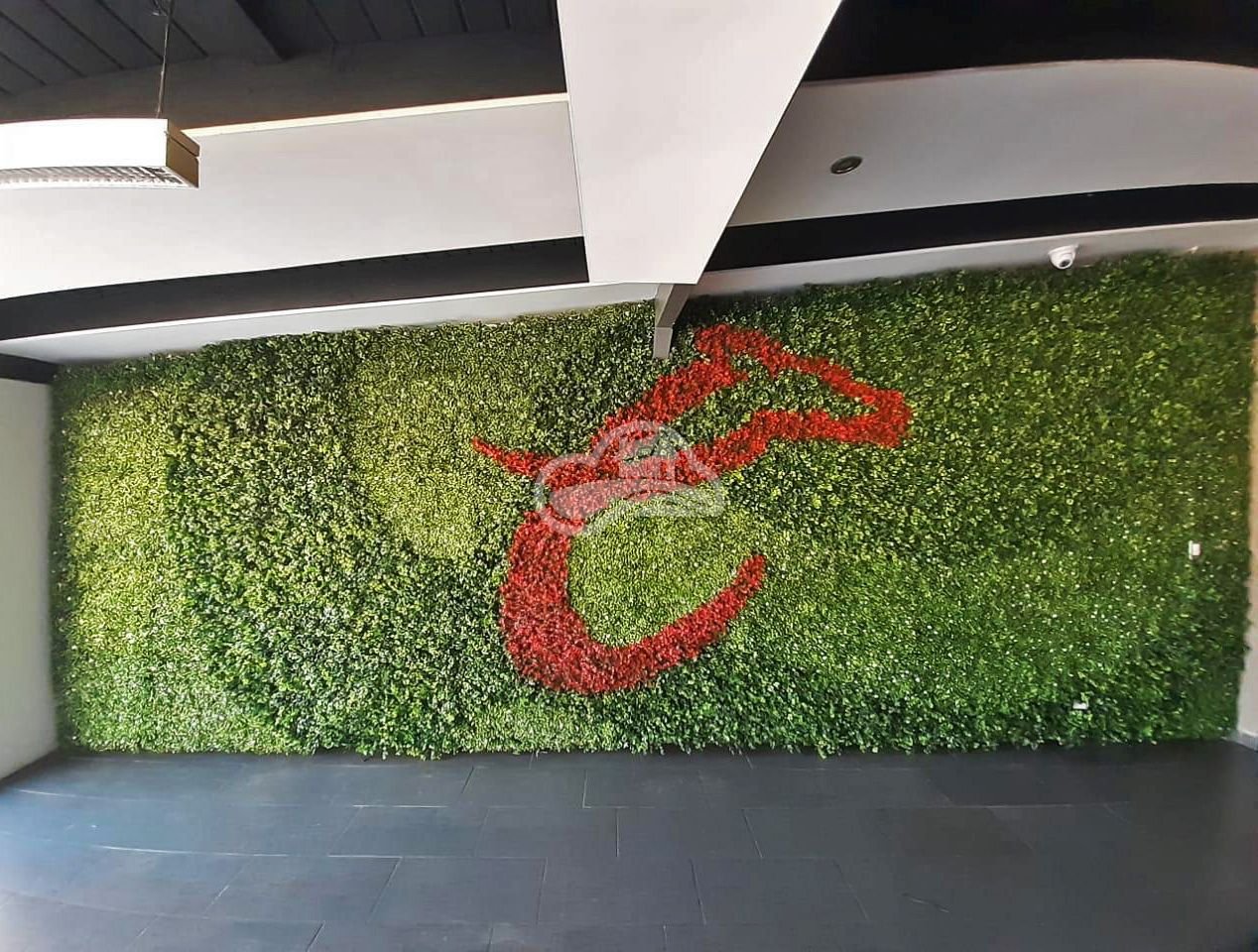 Muro Verde - Dream Gardens
