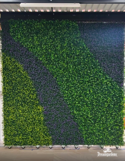 Muro Verde